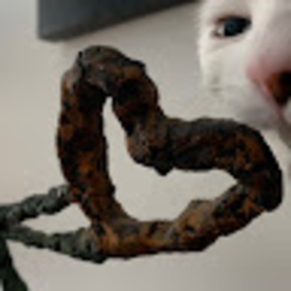 Bookmark 🔖(Click on the Heart ❤️) Posh Ambassador II ⭐️⭐️ Dawn Marie. - Picture 8 of 16